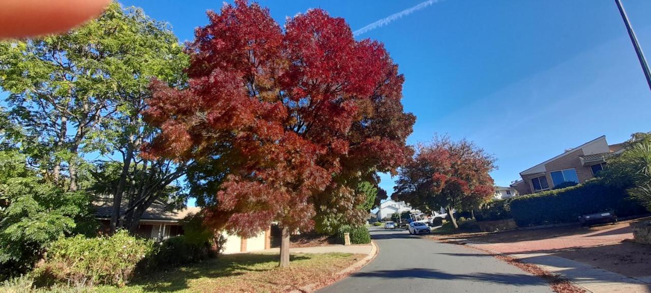Sweet Home By The Golf Course Canberra Ngoại thất bức ảnh